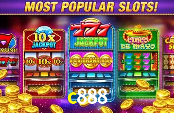 c888 Curitiba - Live Status